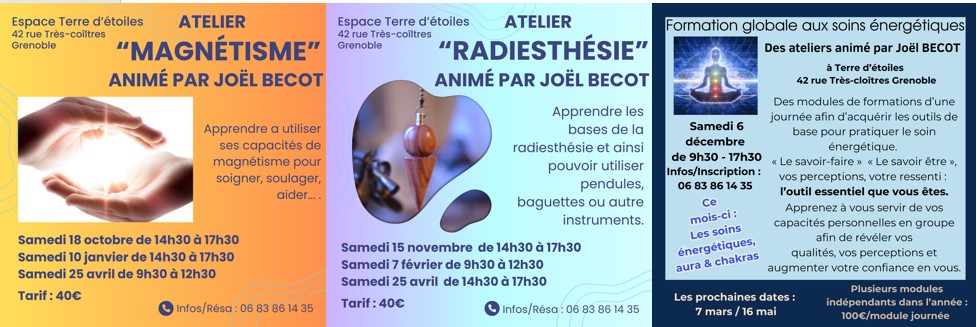 Atelier magnétisme grenoble